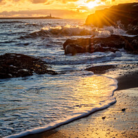 Buy canvas prints of Coquet Island sunrise from Amble beach by Lee Kershaw