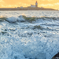 Buy canvas prints of Coquet Island splash by Lee Kershaw