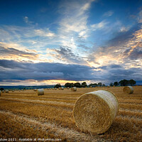 Buy canvas prints of Hay Rolls in a Northumbrian sunset by Lee Kershaw