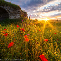 Buy canvas prints of Lime Kiln sunset in a Poppy field at Rennington Northumberland by Lee Kershaw