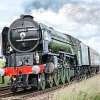 Buy canvas prints of Steam train Tornado in Northumberland by Lee Kershaw