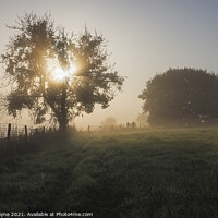 Buy canvas prints of Early Morning Mist by Kevin Payne