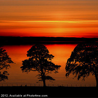 Buy canvas prints of sunset over 3 trees by john maclean