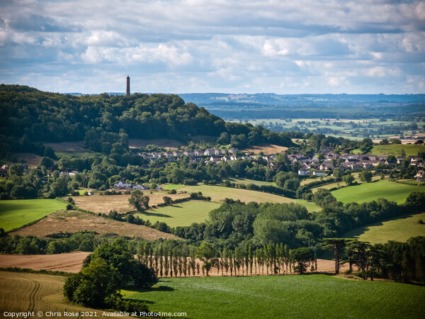 Stinchcombe Hill view Picture Board by Chris Rose