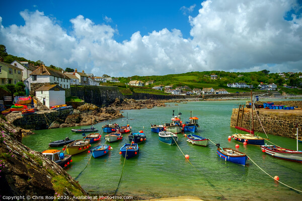 Coverack harbour on the Lizard Peninsula, Cornwall Picture Board by Chris Rose