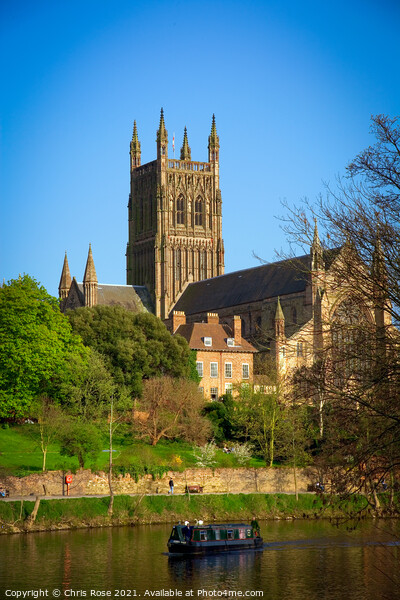 River Severn by Worcester Cathedral  Picture Board by Chris Rose