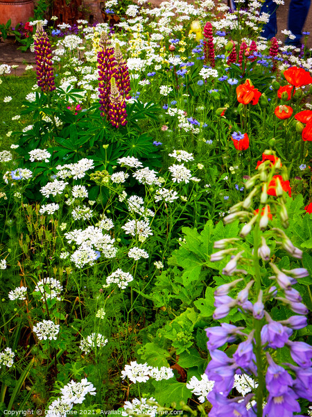 Summer UK cottage garden border Picture Board by Chris Rose