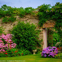 Buy canvas prints of Summer walled garden border flowerbed by Chris Rose
