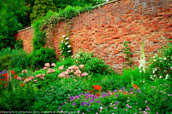 Walled garden summer flowers border Picture Board by Chris Rose
