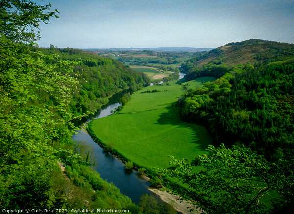Symonds Yat viewpoint Picture Board by Chris Rose