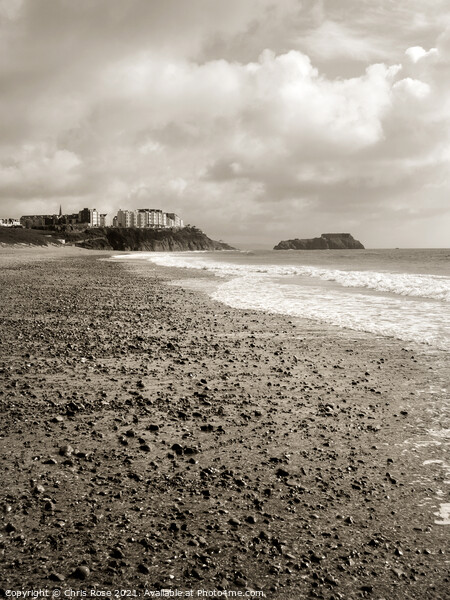 Tenby South Beach in spring Picture Board by Chris Rose