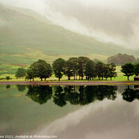 Buy canvas prints of Buttermere, Morning mist after rain by Chris Rose