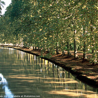 Buy canvas prints of Canal du Midi, Capestang by Chris Rose