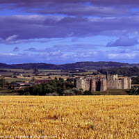 Buy canvas prints of Raglan Castle landscape by Chris Rose