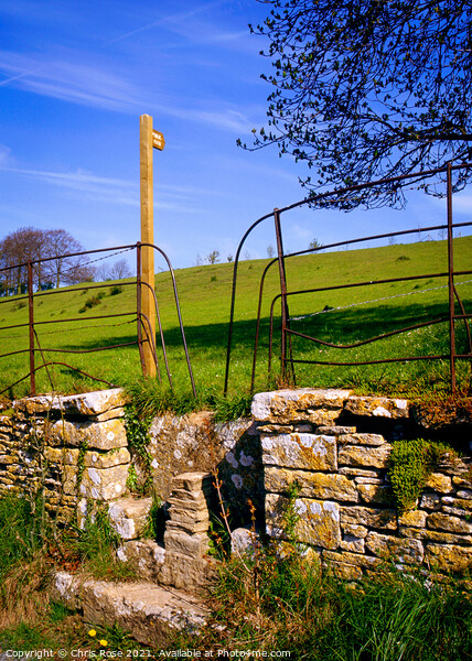 Cotswold stone stile Picture Board by Chris Rose