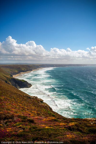 St Agnes Heritage Coast in Cornwall, UK Picture Board by Chris Rose