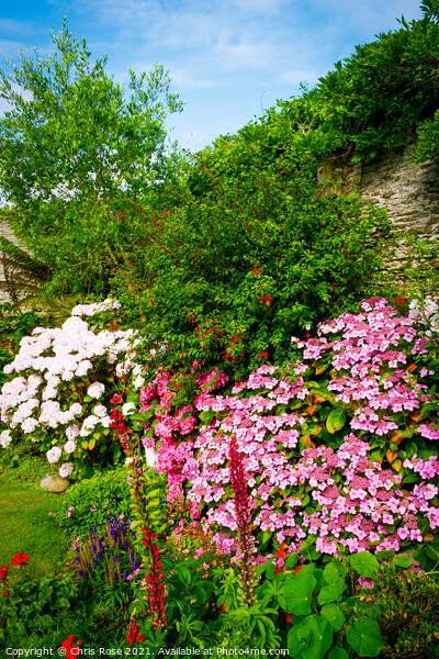 A beautiful summer walled garden border flowerbed Picture Board by Chris Rose