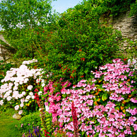 Buy canvas prints of A beautiful summer walled garden border flowerbed by Chris Rose