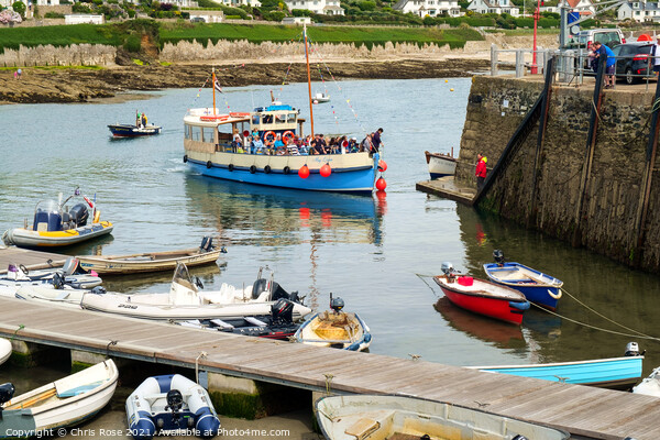 St Mawes, harbour, passenger ferry Picture Board by Chris Rose