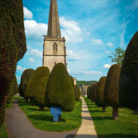 Buy canvas prints of Famous yew trees in the churchyard at Painswick by Chris Rose