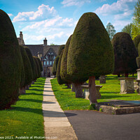 Buy canvas prints of Painswick churchyard yew trees by Chris Rose