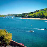 Buy canvas prints of Salcombe by Chris Rose