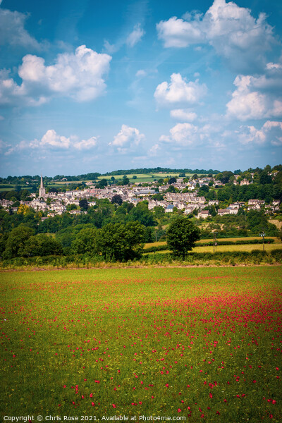 Painswick poppy field Picture Board by Chris Rose