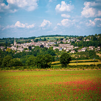 Buy canvas prints of Painswick poppy field by Chris Rose
