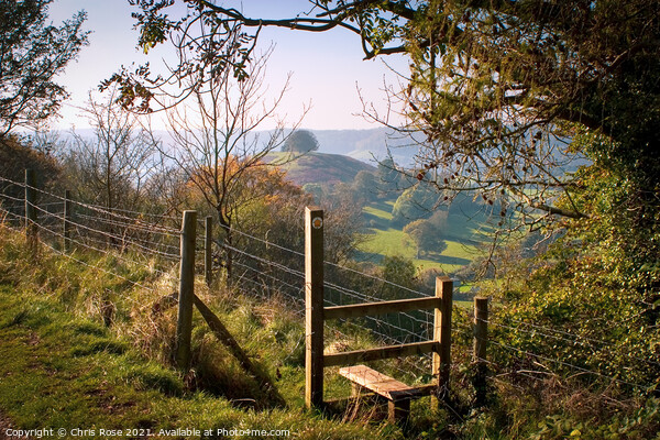 Uley Bury stile Picture Board by Chris Rose