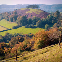 Buy canvas prints of Uley Bury view by Chris Rose