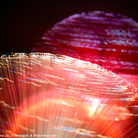 Buy canvas prints of Coloured lights and motion blur abstract by Chris Rose