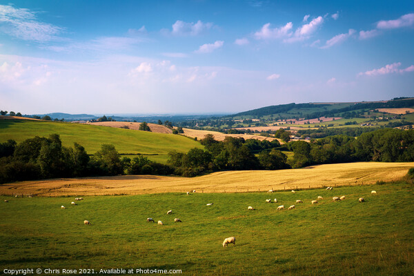 Cotswolds landscape near Winchcombe Picture Board by Chris Rose