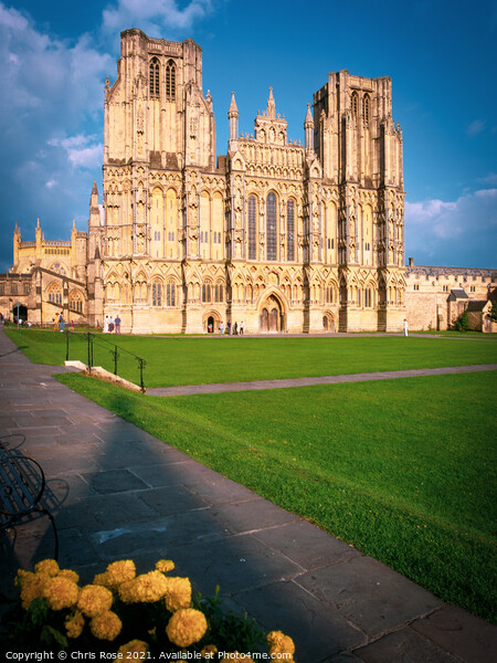Wells cathedral Picture Board by Chris Rose