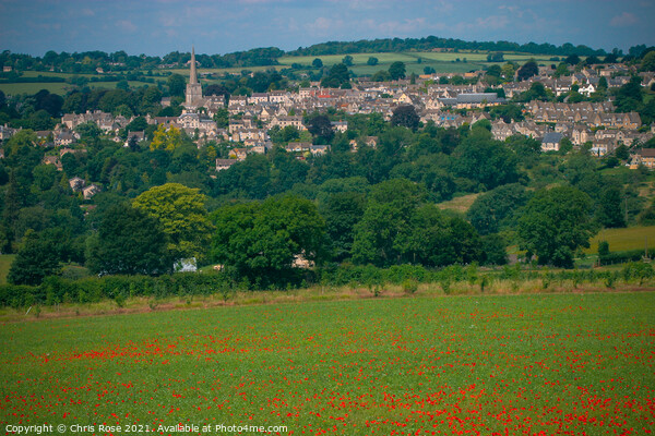 Painswick poppy field Picture Board by Chris Rose