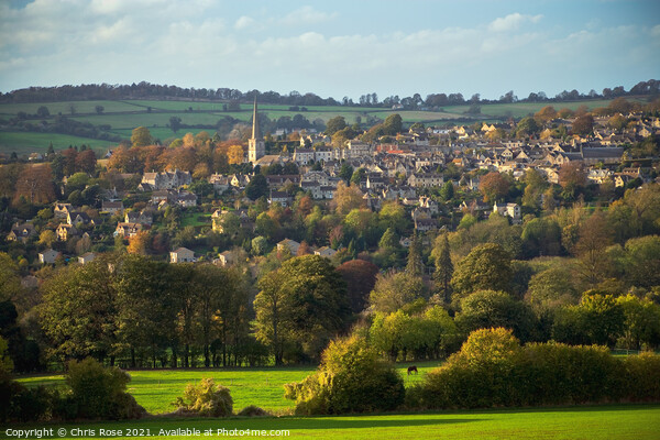 Painswick in the Cotwolds countryside Picture Board by Chris Rose