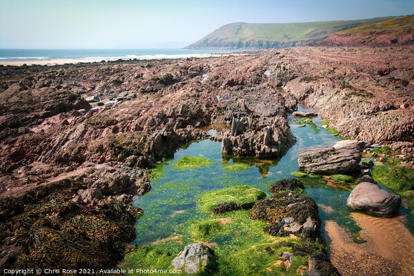 Manorbier Bay beach rockpools Picture Board by Chris Rose