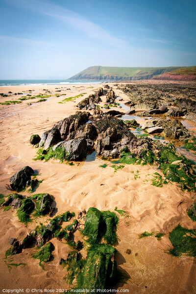 Manorbier beach Picture Board by Chris Rose