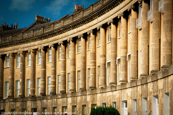 The Royal Crescent, Bath Picture Board by Chris Rose