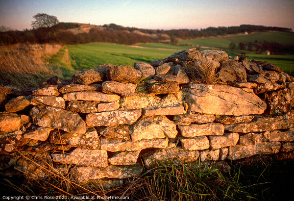 Cotswolds, late sun on a cotswold stone wall Picture Board by Chris Rose