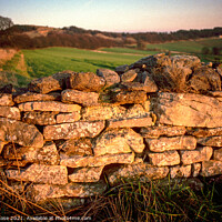 Buy canvas prints of Cotswolds, late sun on a cotswold stone wall by Chris Rose