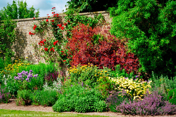 Walled garden in summer Picture Board by Chris Rose