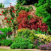 Buy canvas prints of Walled garden in summer by Chris Rose