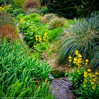 Buy canvas prints of Garden stream by Chris Rose