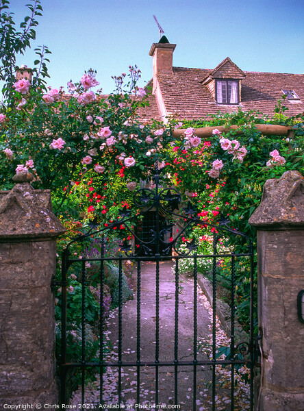 UK, Cotswolds, Bisley, pretty cottage and garden gate Picture Board by Chris Rose