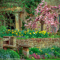 Buy canvas prints of Cotswold cottage garden by Chris Rose