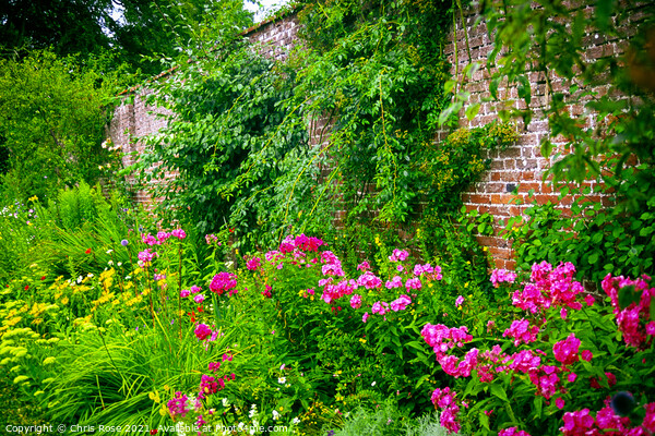 Colouful summer garden border Picture Board by Chris Rose
