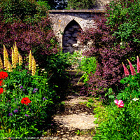 Buy canvas prints of Summer colour garden borders by Chris Rose