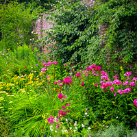 Buy canvas prints of Walled garden by Chris Rose