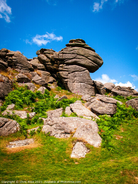 Dartmoor, Hound Tor Picture Board by Chris Rose