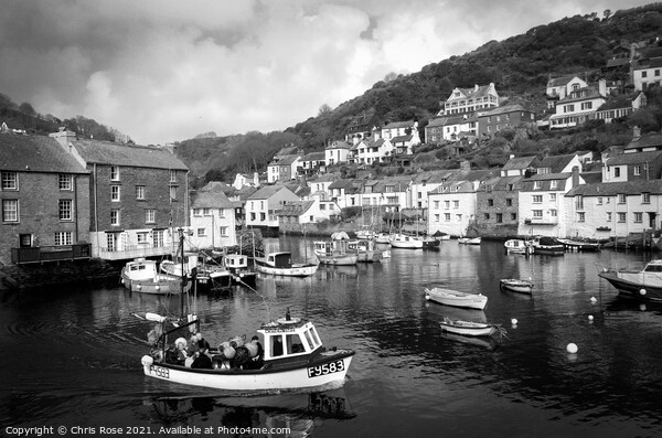Polperro Harbour Picture Board by Chris Rose